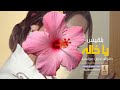 ياخاله بدون موسيقى دفوف بلقيس اغاني بدون موسيقى دف 