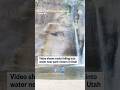 Video shows rocks falling into water near park visitors in Utah