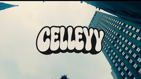 Celleyy~Sagitt Vibez(intro)