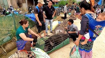 KHÁM PHÁ CHỢ NGUYÊN SƠ TÂY BẮC - DÊ NÚI, LỢN CẮP NÁCH VÀ NÔNG SẢN QUÝ HIẾM ĐỊA PHƯƠNG 