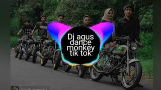 DJ Agus dance monkey tik tok