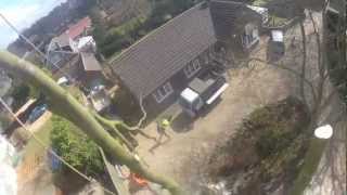 beech dismantle