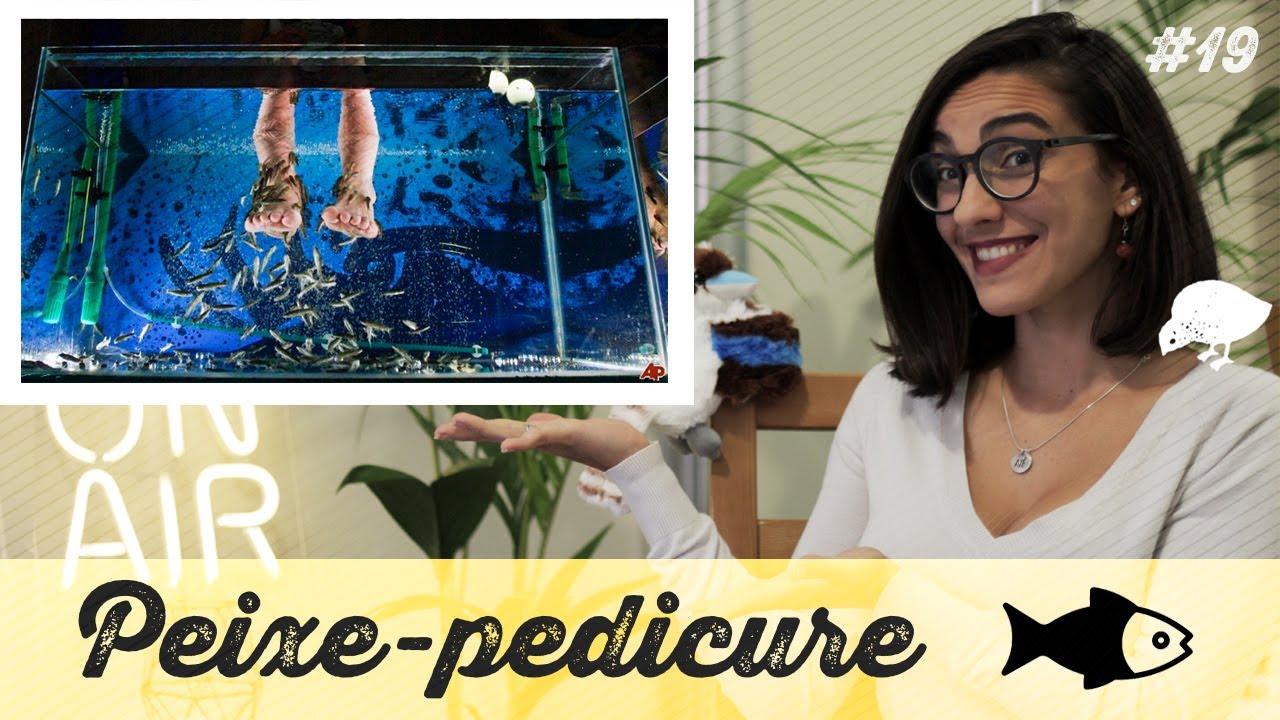 COMPORTA #19 Peixe-pedicure (Garra rufa)