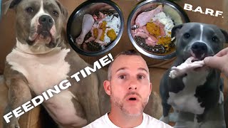 Best way to feed your dogs | B.A.R.F. by Gunther's Spot   1,993 views 2 years ago 10 minutes, 51 seconds