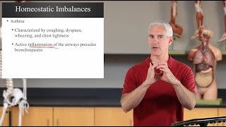 Homeostatic Imbalances of the Respiratory System (Ch22 Respiratory - Slides116-123)