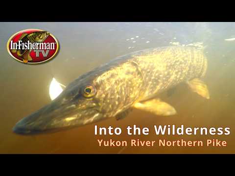 In-Fisherman TV: Into the Wilderness – Yukon River Northern Pike