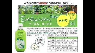 花や野菜などの水やりに！うすめてかけるだけで植物イキイキ♪　EM Garden（イーエムガーデン） 【自然館】