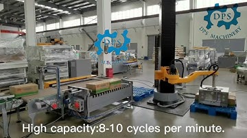 Automatic carton palletizer/single column palletizer