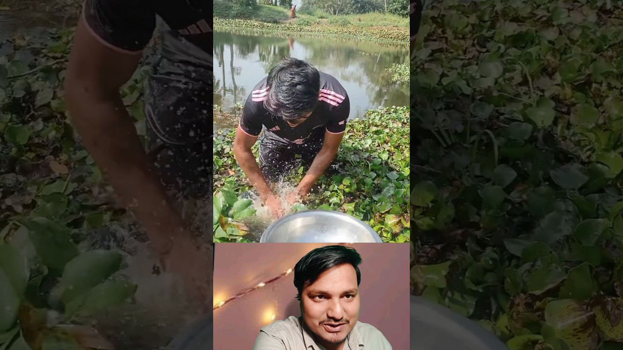 😱 Sach Mein Aisa Hota Hai? Amazing Village Fishing Video 🐟 