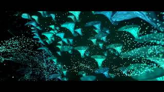 Spore of the Moment - Summer Animation with DreamWorks
