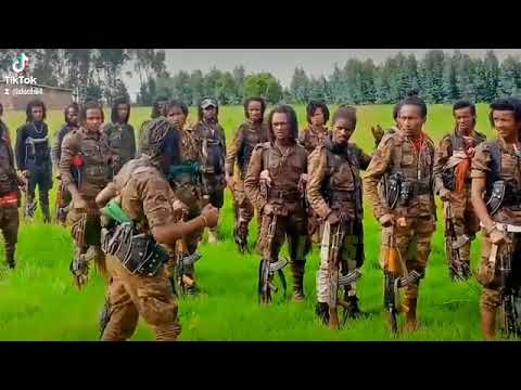 Jaal Kenyaa Seena Sin Yaadata