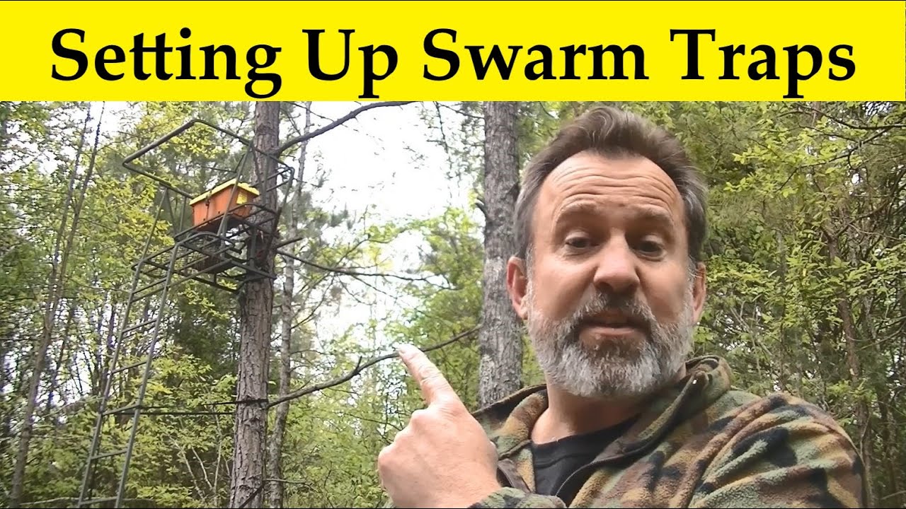 Setting Up Swarm Traps Using Swarm Commander and Pro-Nucs - YouTube