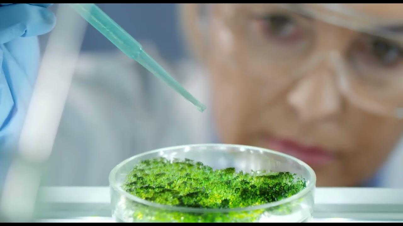 Inside Modern Cell Research: How Science Studies Cellular Activity