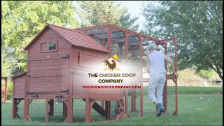Thinking About Getting Chickens? Start Your Backyard Flock