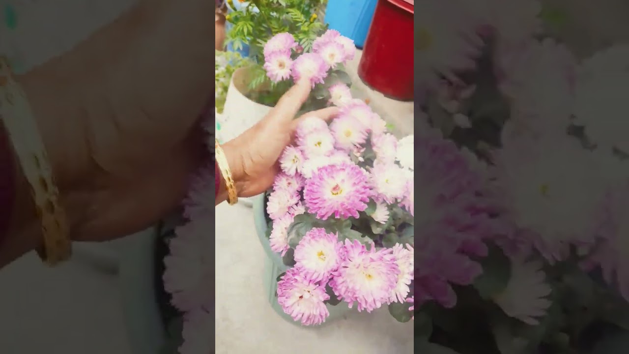 Tere Bin Ham Kahin Rah Nahin paate 