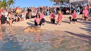 Florida Keys Valentine S Day Turtle Release 2024