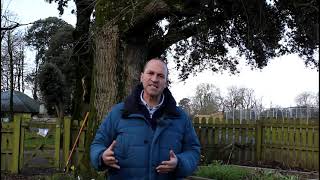 Join Peter Dowdall for an Interactive Workshop on Plants and Biodiversity