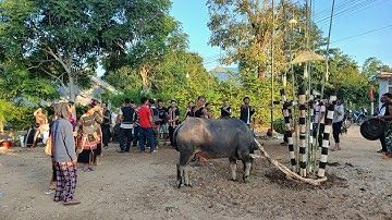 Lễ Hội Đâ.m Trâu Người Bana, Cồng Chiêng Tây Nguyên