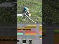 Poma