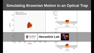 Brownian motion in Optically Trapped Colloidal Particles (Optical Tweezers)
