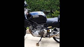 Yamaha TRX 850 Delkevic sound
