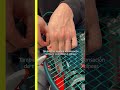 💡Diferencias entre una Tensión de Encordado Alta y Baja | #shorts | Tennis-Point