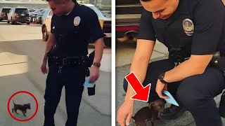 This Homeless Puppy Followed This Cop, What Happened Next Will Bring You To Tears