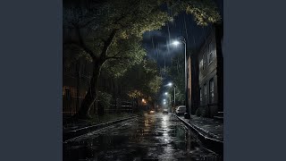 Rain's Calming Meditative Echo