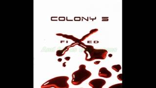 Watch Colony 5 Big Brothel video