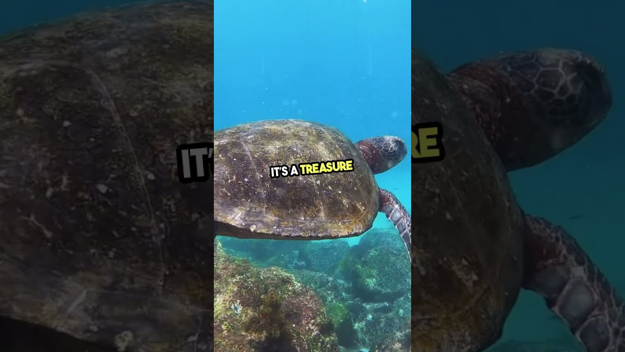You Won T Believe What S Hiding In Drains 