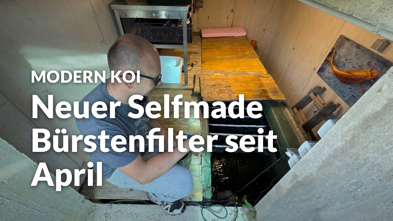 Karls Filterneustart nach pathogenem Keim  | Modern Koi Blog #8285
