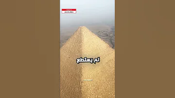 كلب يتجول على قمة أهرامات الجيزة في مصر Alexlang14 