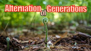 On Alternation of Generations