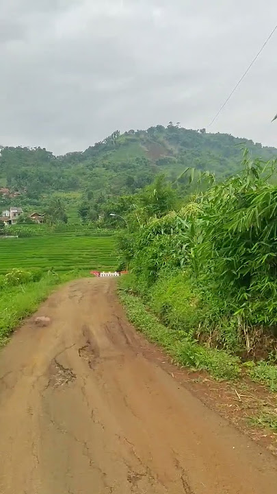 Desa Patrolsari Arjasari Kabupaten Bandung #shorts