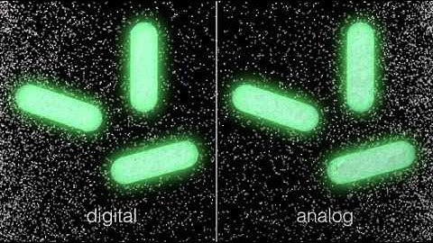 Synthetic Analog Computing in Living Cells