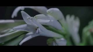 Alexander McQueen McQueen Eau de Parfum TV - Видео от ПарфюмЛенд