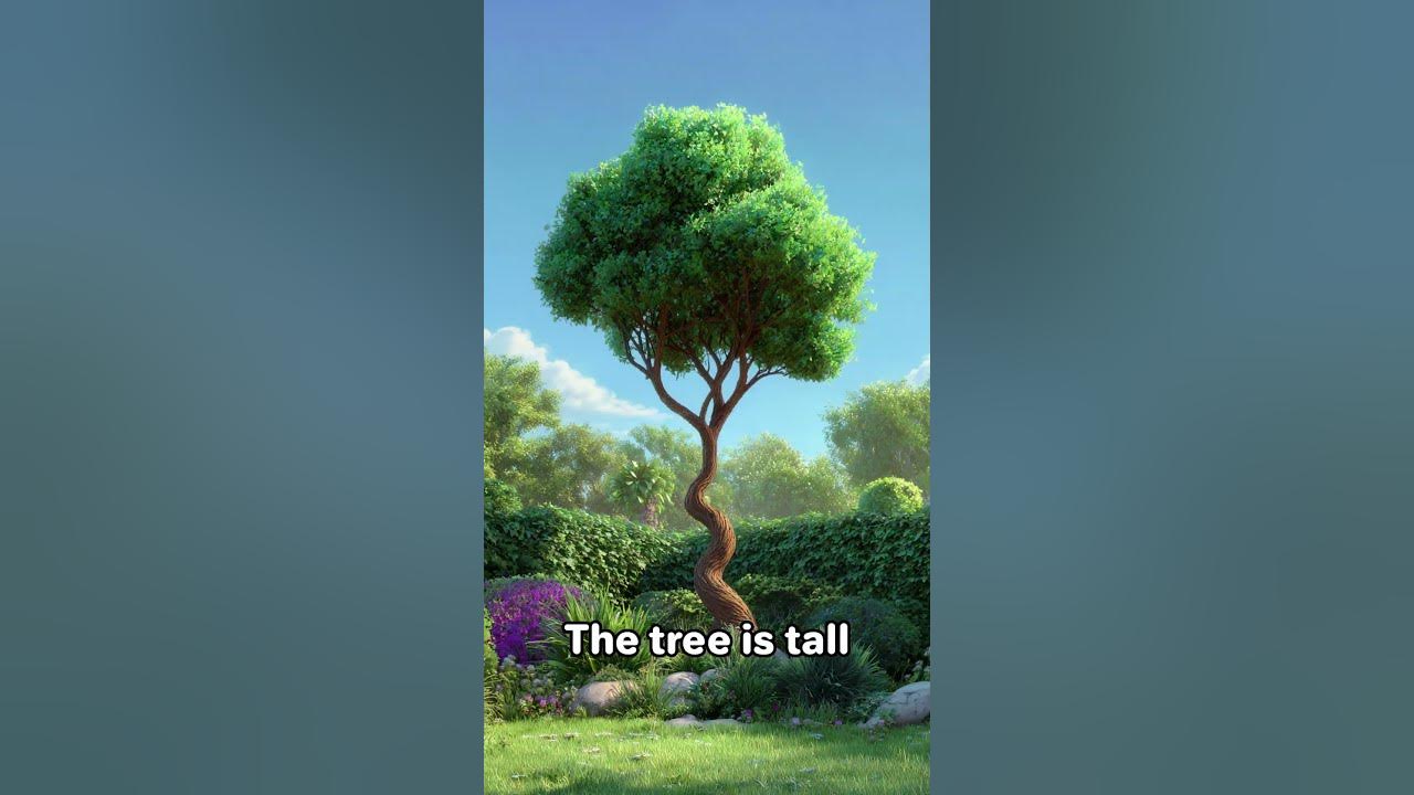 I Like the Garden | Nature Song for Kids | Learn About Trees, Flowers, and Plants