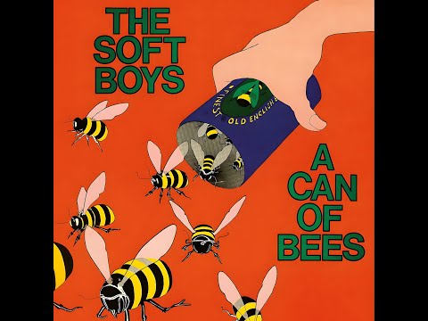The Soft Boys — The Soft Boys - Cold Turkey (John Lennon Cover)