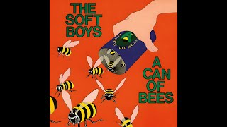 The Soft Boys - Cold Turkey (John Lennon Cover) screenshot 5