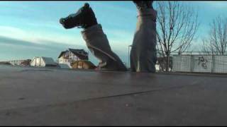 Funny Skate Bail