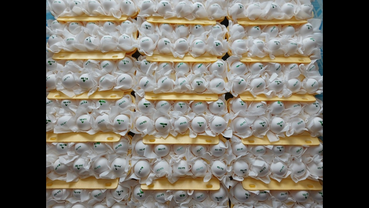 СОБИРАЮ ЗИМОЙ ИНКУБАЦИОННОЕ ЯЙЦО ОТ СВОИХ КУР ВЁДРАМИ!!! КАК ПРАВИЛЬНО ВСЁ УСТРОИТЬ!!! 19.02.2026 г.