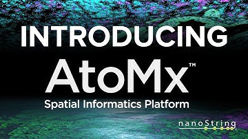 Unlock the Universe of Spatial Biology with AtoMx Spatial Informatics Platform