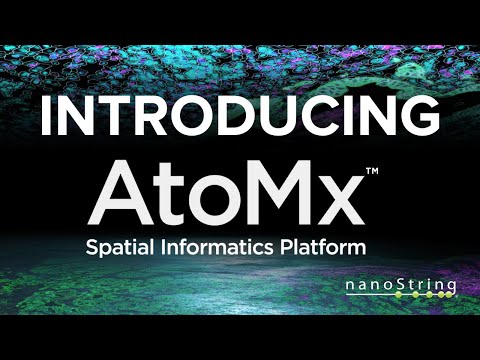 Unlock the Universe of Spatial Biology with AtoMx Spatial Informatics Portal