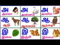 Tamil alphabets/அஆஇஈ/உயிர்எழுத்துக்கள்/Uyireluthukkal @PEEKABOO-ff8wq #uyireluthukkal 