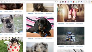 Find Free Images on PhotosForClass.com