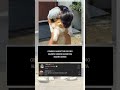 aduhh gemes nyaa interaksi mereka #cat #cutecat