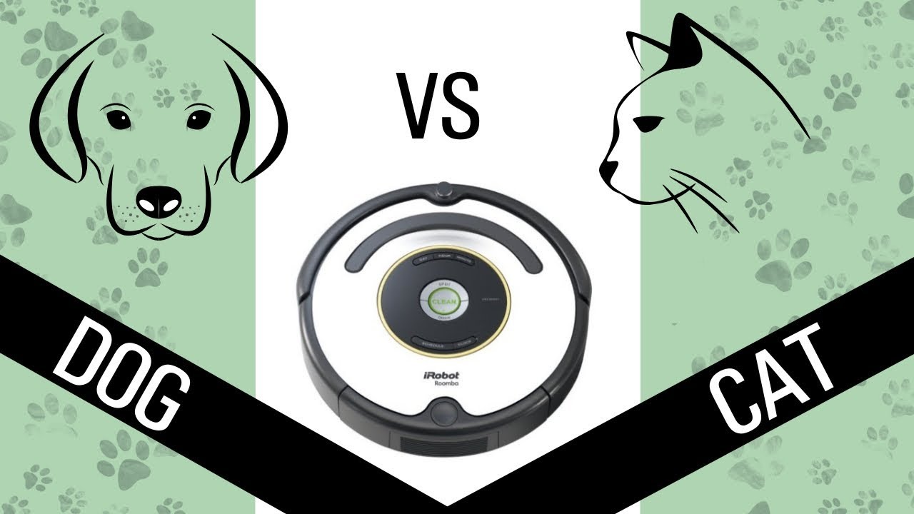 iRobot Roomba 670 vs Dogs and Cats YouTube