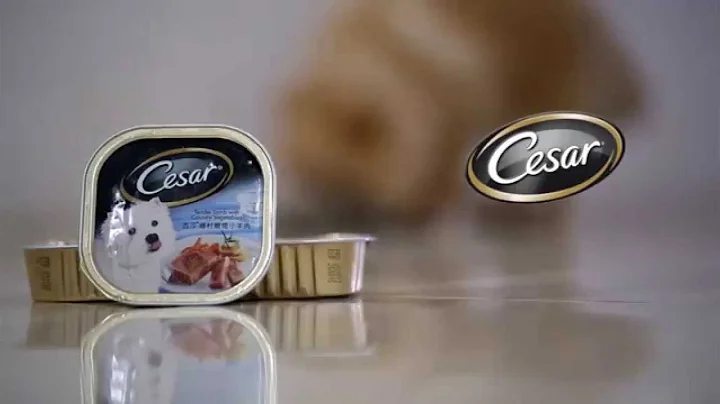 Cesar Dog Food Commercial