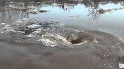 Чудовищный водоворо