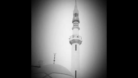 سورة الفتح للشيخ وليد هادي حفظه الله